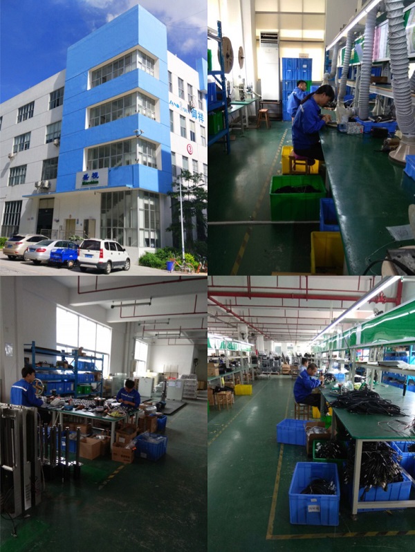 2019大年初一，MK体育(中国)mk·官方网页版,保障春节口岸通关工作